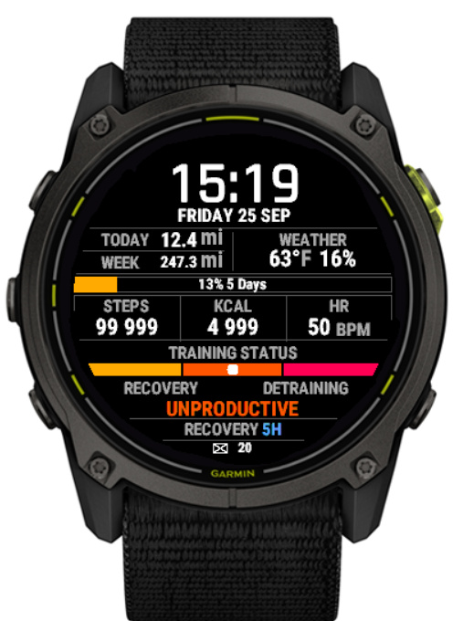 N13 Elite - Performance Dashboard Watch Face · Screenshot 0