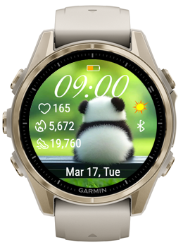 Panda Back · Screenshot 3