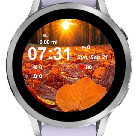 Leaves Fall · Screenshot 0