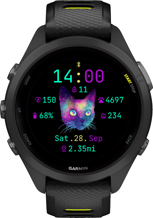 Galactic Cat · Screenshot 2