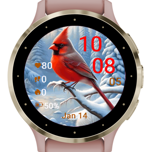 Winter Cardinal · Screenshot 1