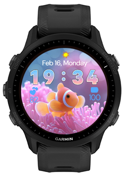 Coral Fish · Screenshot 1