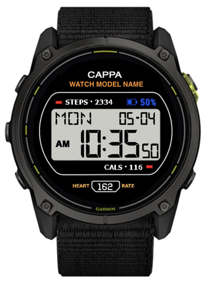 Vintage Digital CAPPA A171WE 2