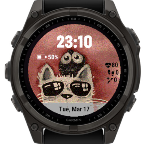 Cool Cat Shades 5