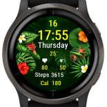 Wild Green · Screenshot 0