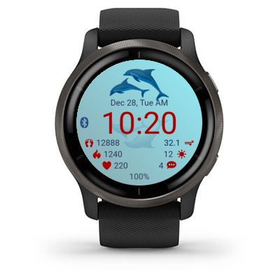 Dolphins · Screenshot 1