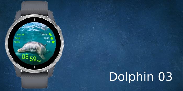 Dolphin 03 · Screenshot 0