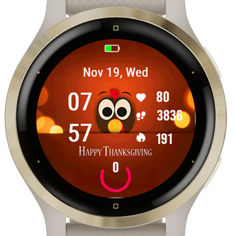 Turkey · Screenshot 1