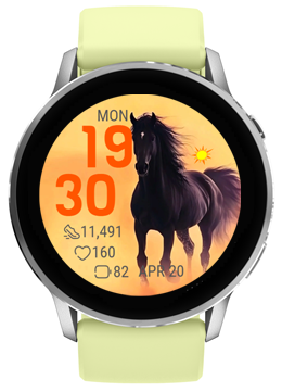 Dark Stallion 4