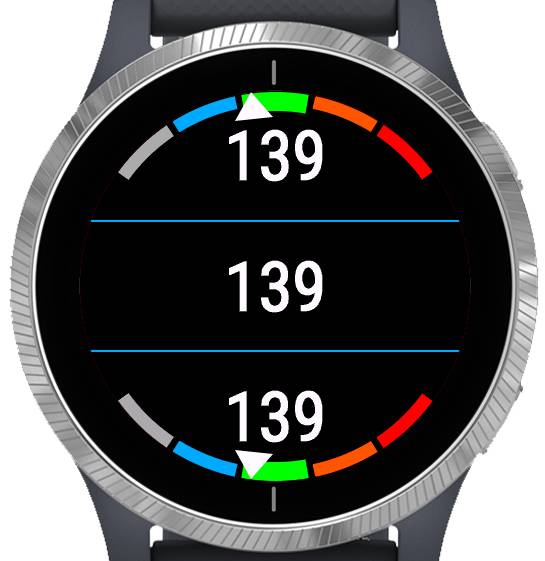 HR Zone Gauge screenshot 1