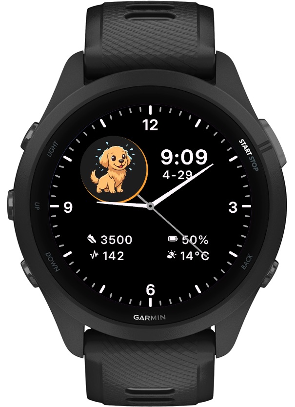 Pet Analog Animated - Golden Retriever Dog 4