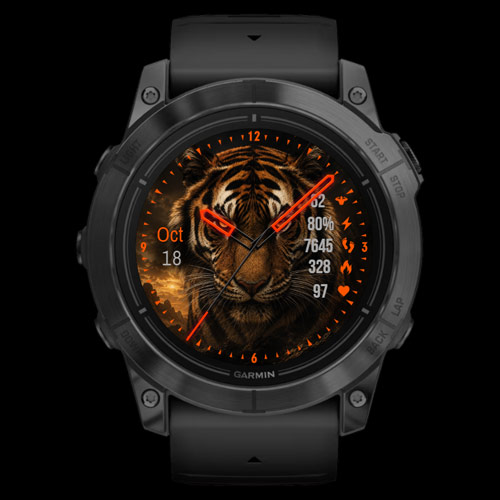 Tiger Fury · Screenshot 0