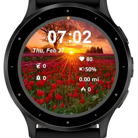 Tulip Fields at Sunset · Screenshot 0