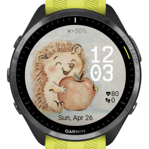 Happy Watercolor Hedgehog 4