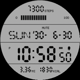 Retro LCD Steps · Screenshot 4
