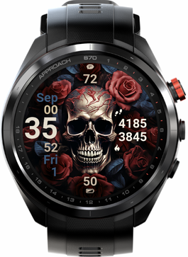 Skull with Roses · Screenshot 0