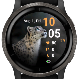 Snow Leopard · Screenshot 3