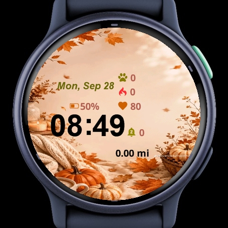 Close Up Front Back View Orange · Screenshot 1