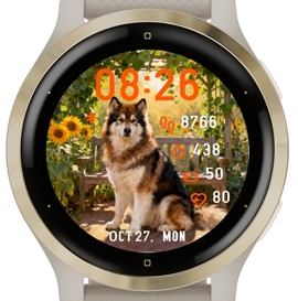 Garden Dog · Screenshot 1