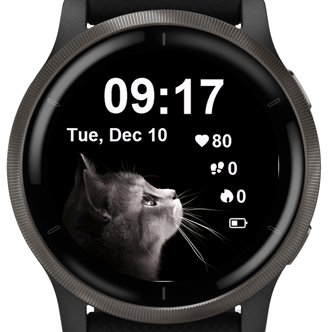 Curious Cat · Screenshot 3