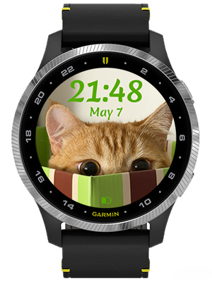 The peeping cat · Screenshot 1