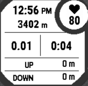 Hiking Datafield/Datascreen - Metric Light · Screenshot 0