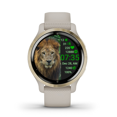Lion In Flow · Screenshot 3