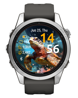 Sea Turtle · Screenshot 0