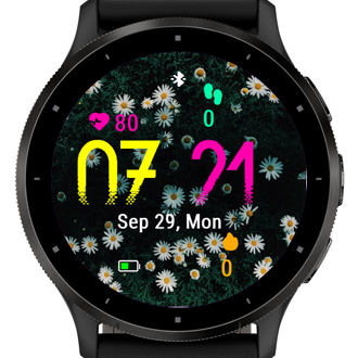 Daisy Fresh · Screenshot 2