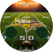 Vikings NFL Field · Screenshot 0