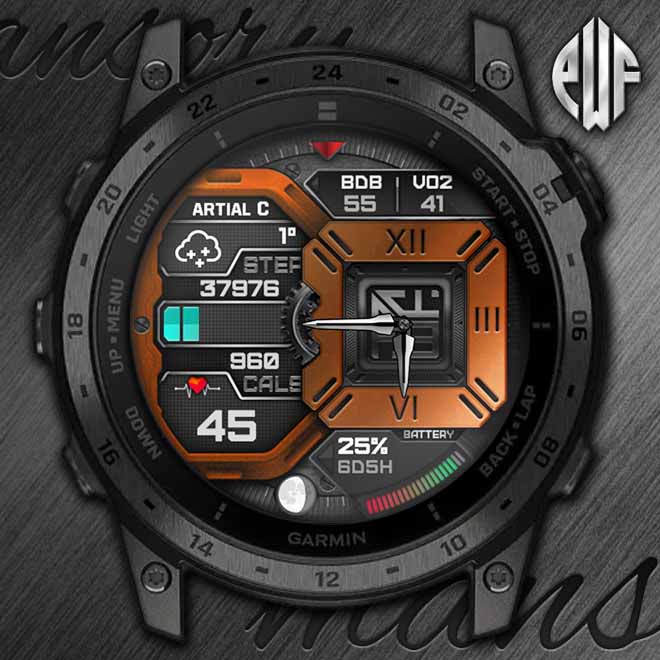 Pwf Mansory (Limited Edition - Garmin Weather) · Screenshot 1