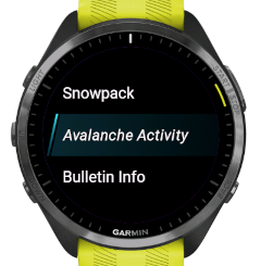 tAvalanche AT-DE - avalanche bulletins for AT, DE · Screenshot 3