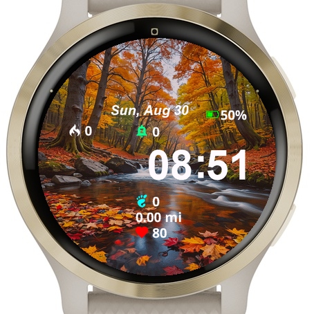 View Fall Leaves Water Rocks · Screenshot 2