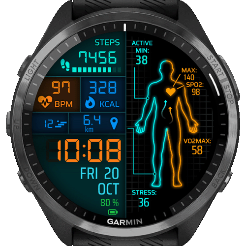 TheBodyMetrics · Screenshot 0