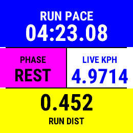 Martin’s GAP and RUN PACE App - donations welcome · Screenshot 3