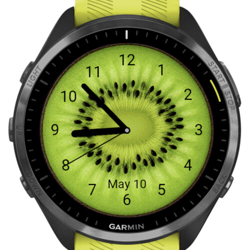 Kiwi Pulse · Screenshot 1