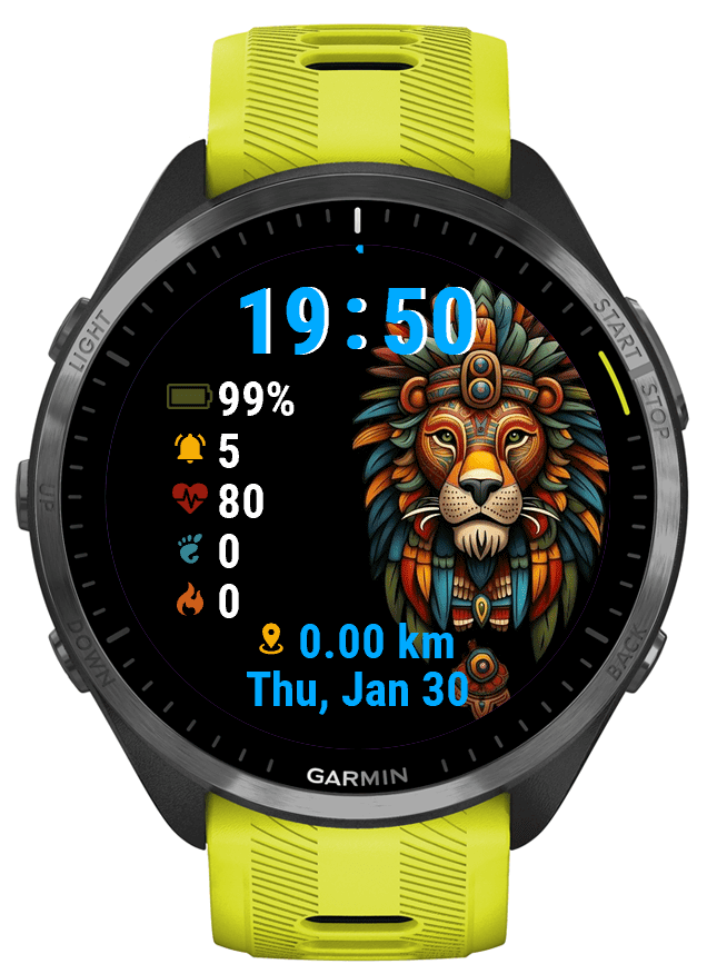 LionKing · Screenshot 1