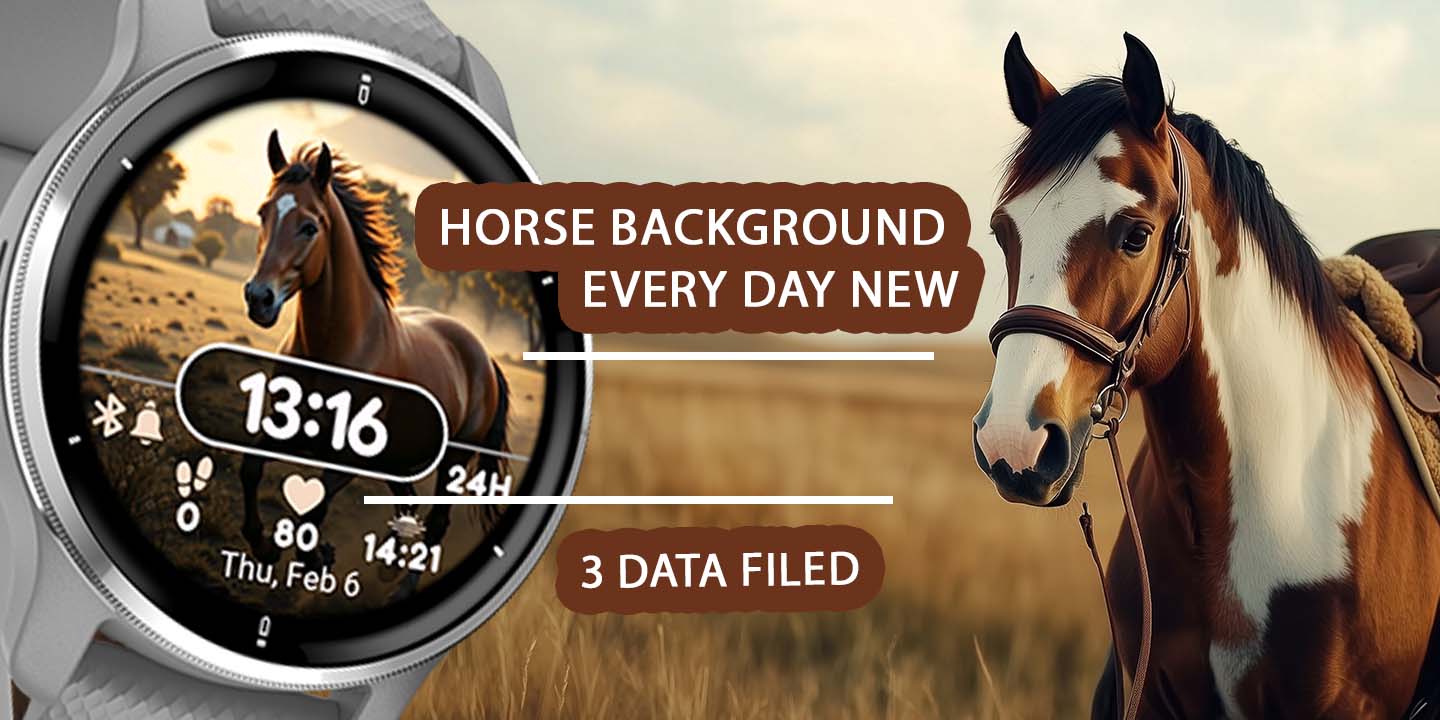 Daily Horse · Screenshot 1