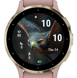 Eagle Gaze · Screenshot 0