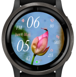 Lotus Dragonfly · Screenshot 3