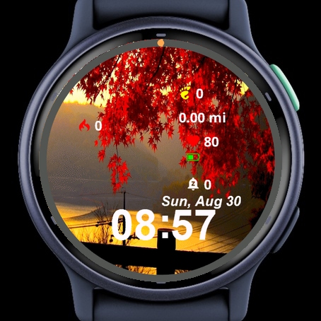 View Sun Setting Over Water Trees · Screenshot 2