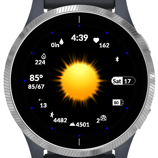 Big Weather Garmin · 스크린샷 1