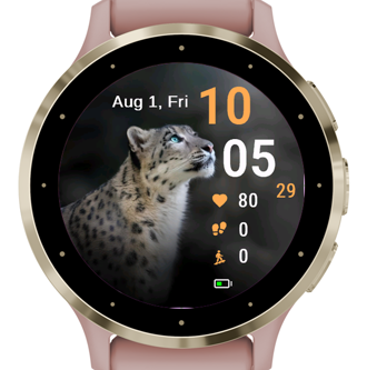 Snow Leopard · Screenshot 0