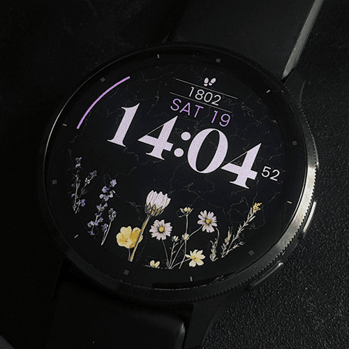 Wildflower Steps x · Screenshot 2