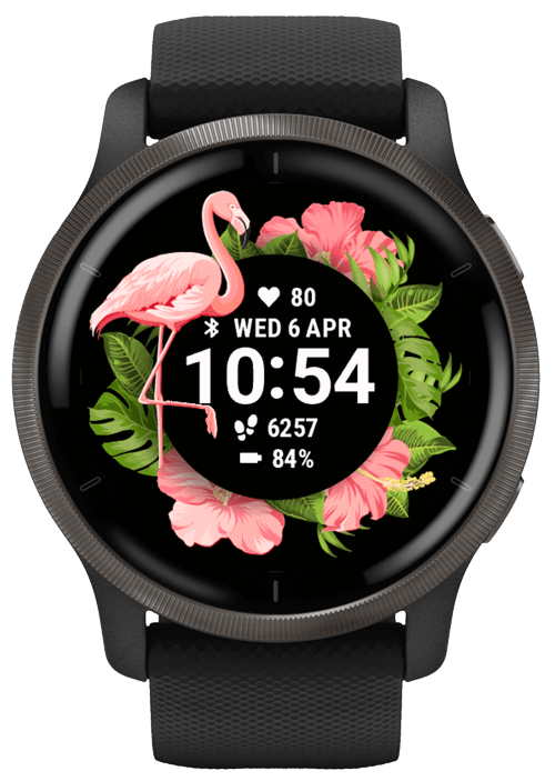 Flamingo · Screenshot 3