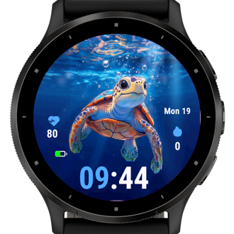 Turtle C2 · Screenshot 1