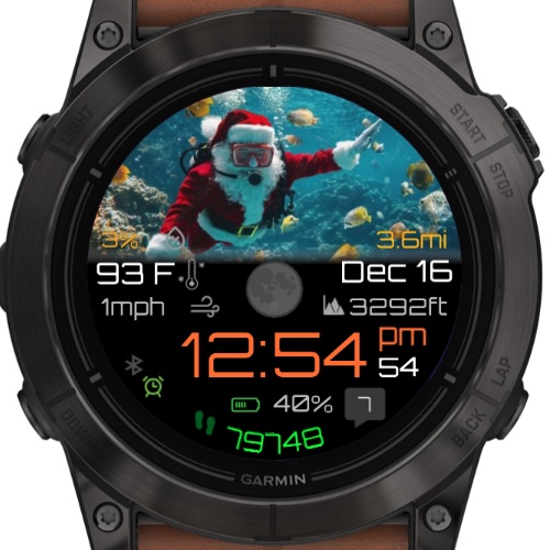 Seasons: Santa Sports · Screenshot 1