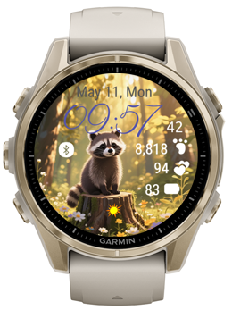 Little Raccoon · Screenshot 0