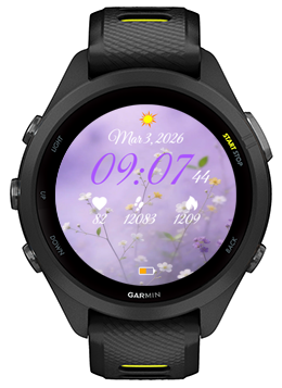 Wild Flowers · Screenshot 1
