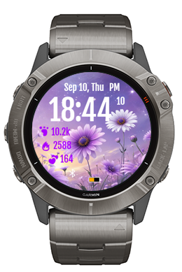 Purple Daisy · Screenshot 1